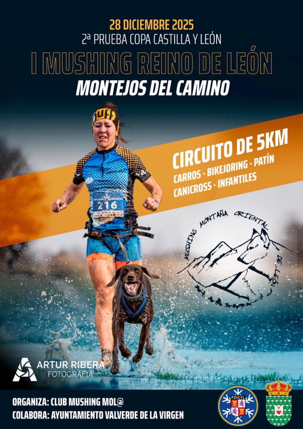 I MUSHING REINO DE LEÓN